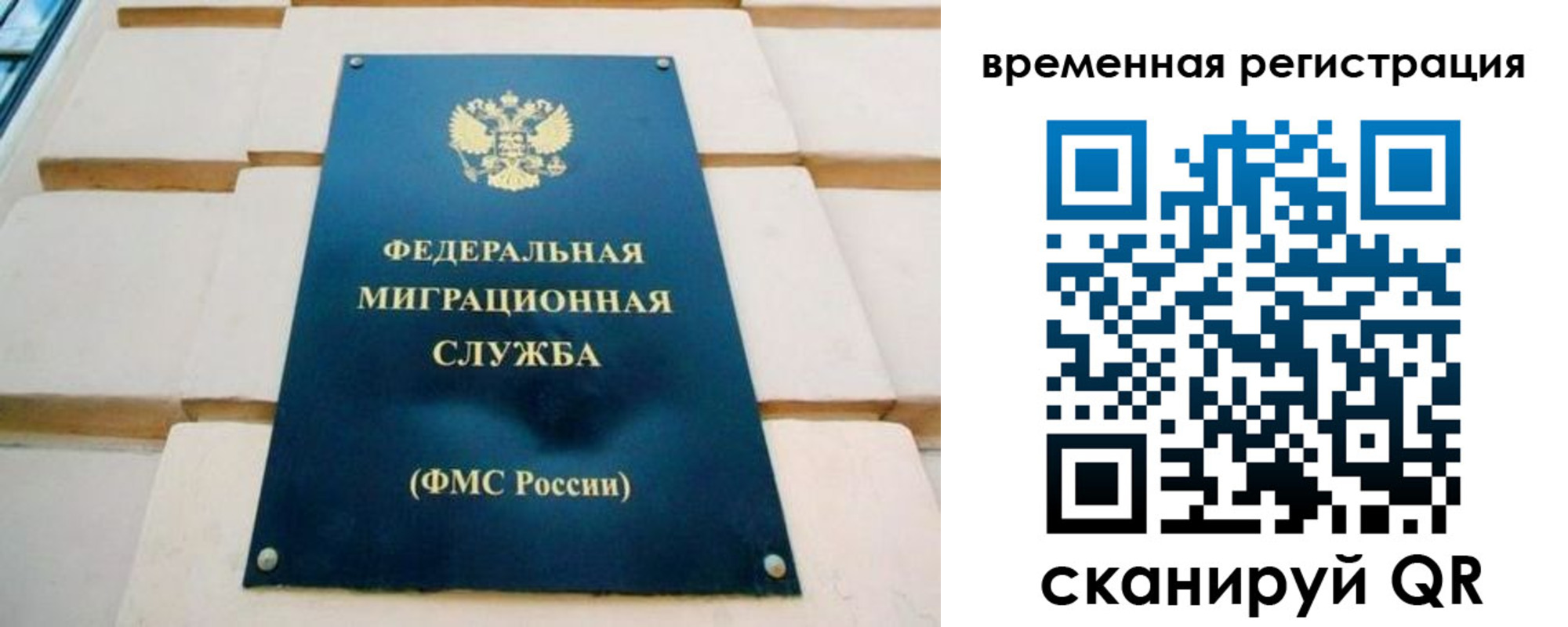 прописка гарантия в Долгопрудном